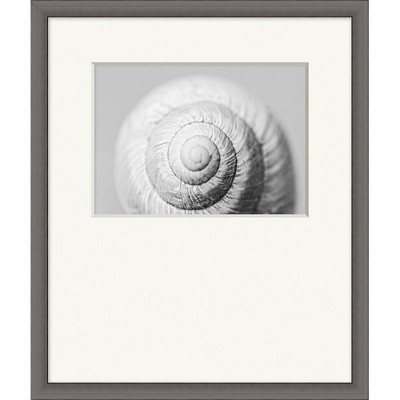 Wendover Shell Portrait 1