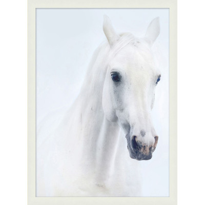 Wendover Ethereal Stallion 5