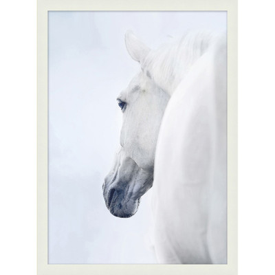 Wendover Ethereal Stallion 4