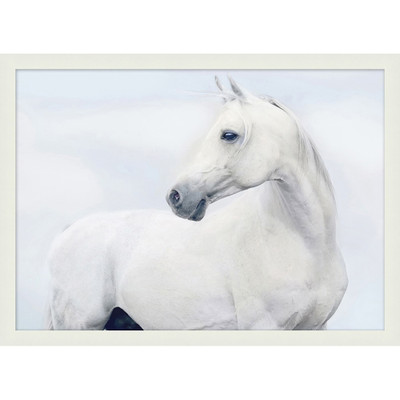 Wendover Ethereal Stallion 1