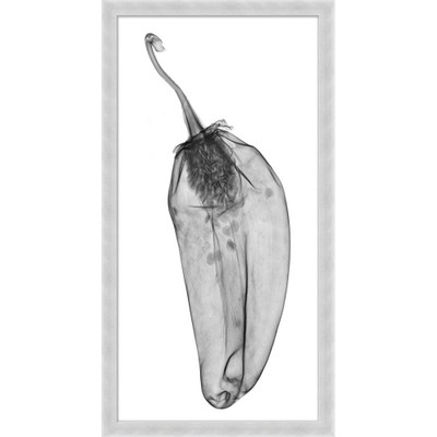 Wendover X-Ray Chili 3