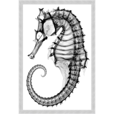 Wendover Radiography Shell 4