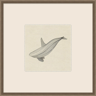 Wendover Lined Catch 5