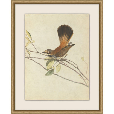 Wendover Birds of Autumn 4