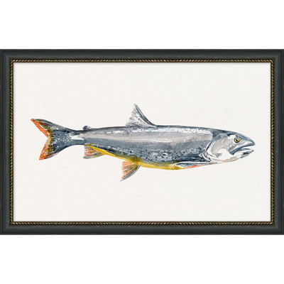 Wendover Freshwater Fish 5