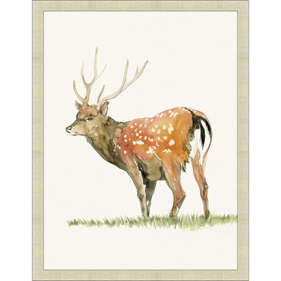 Wendover Spotted Deer 2