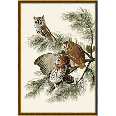 Wendover Owl Print 2