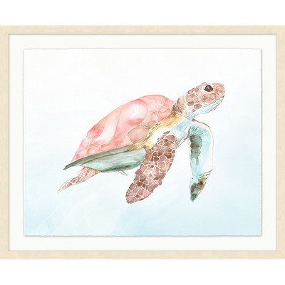 Wendover Blush Turtle 2