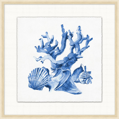 Wendover Blue Reef Collection 2