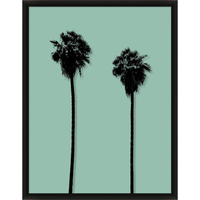 Wendover Shadows of a Palm 1