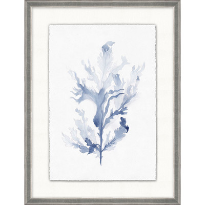 Wendover Coral Reef Collection 5