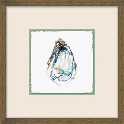 Wendover Oyster Watercolor 2