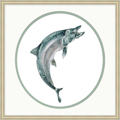 Wendover Trophy Trout