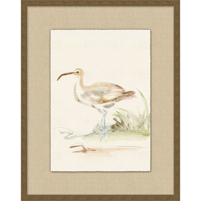 Wendover Shore Birds 4