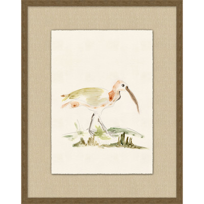 Wendover Shore Birds 3