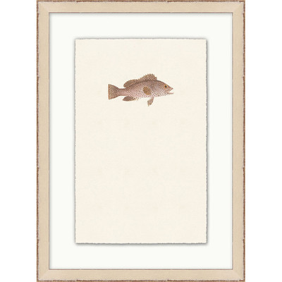 Wendover Petite Fish 2