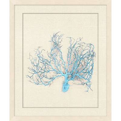 Wendover Shadowbox Sea Fan Island Splash