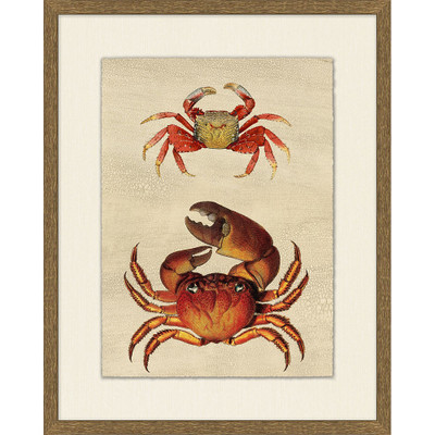 Wendover Crackled Crab Hues 1