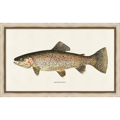 Wendover Fishermen's Kern River Trout