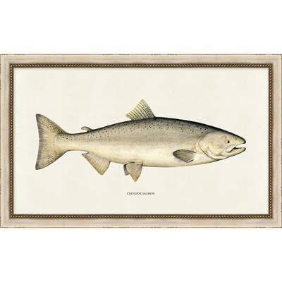 Wendover Fishermen's Chinook Salmon