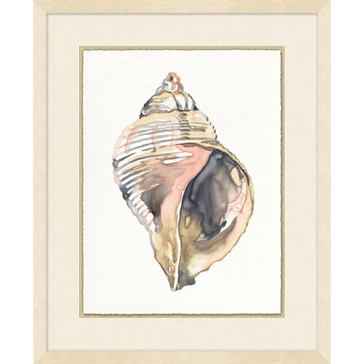 Wendover Soft Shell 6