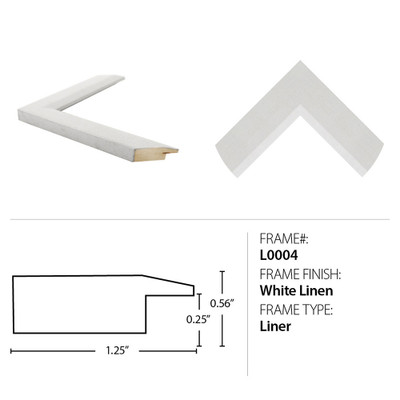 Wendover Seashell Collection 2