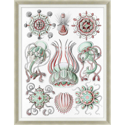Wendover Sea Elements 4