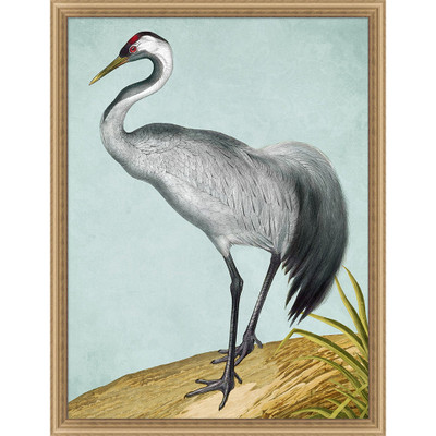 Wendover Grand Crane 2