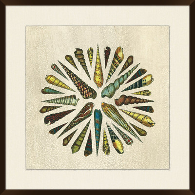 Wendover Shell Spiral 2