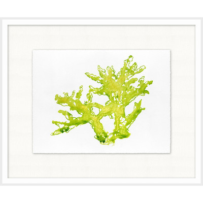 Wendover Colorful Coral 3