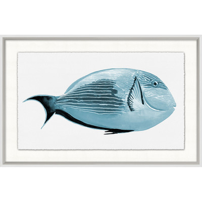 Wendover Tropical Fish 2 - WCL2006