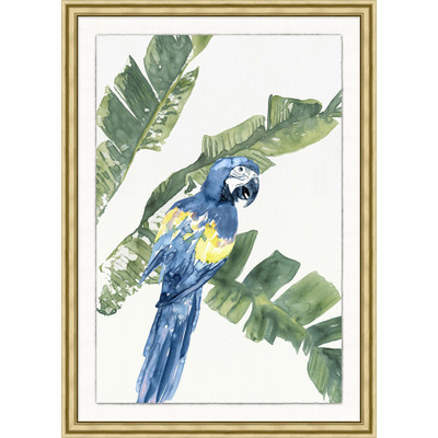 Wendover Tropic Parrot 2