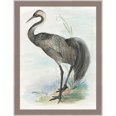 Wendover Waterbird 4