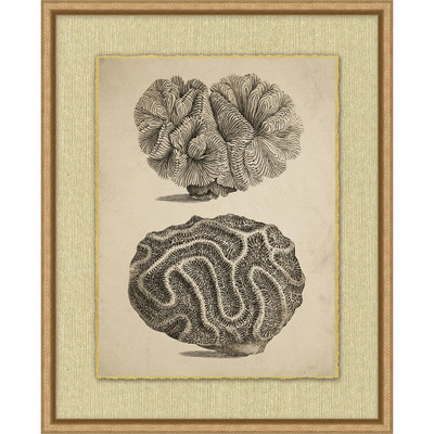 Wendover Sepia Sealife 3