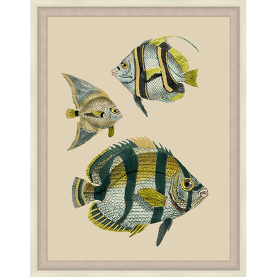 Wendover Tropical Fish With Gold Detail 2