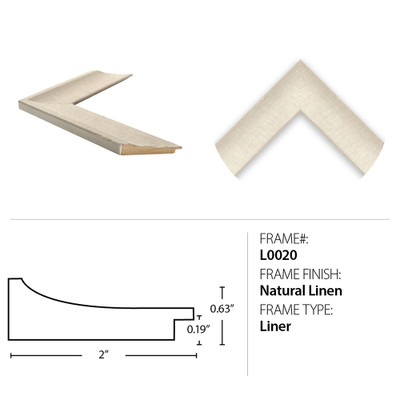 Wendover Tropical Fish With Gold Detail 2