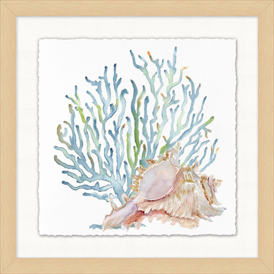 Wendover Watercolor Sea Shells 4 - WCL1342