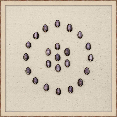 Wendover Purple Cowrie Circle