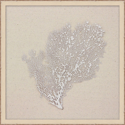 Wendover Pearl Sea Fan