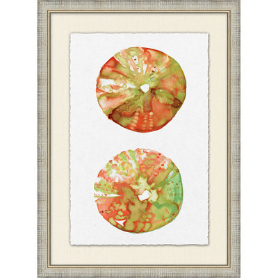 Wendover Tropical Urchin 2