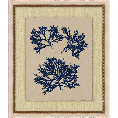 Wendover Small Navy Sea Fan 3