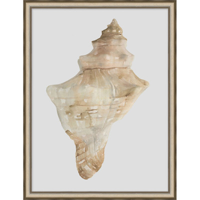 Wendover Watercolor Sea Shells 4 - WCL1079