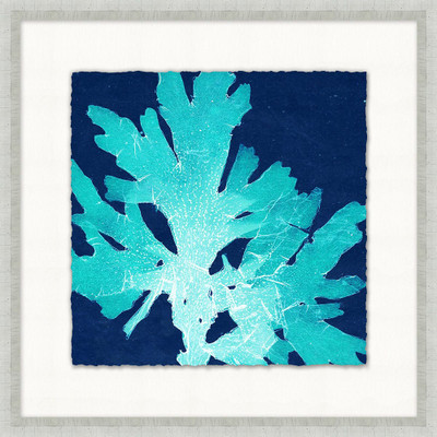 Wendover Heliopora Coerulea 3