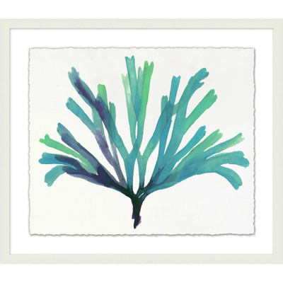 Wendover Transparaent Sea Life 1