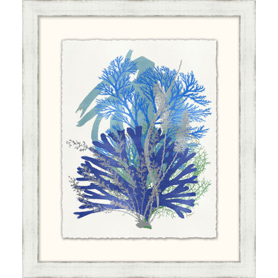 Wendover Graphic Sea life Collection 2