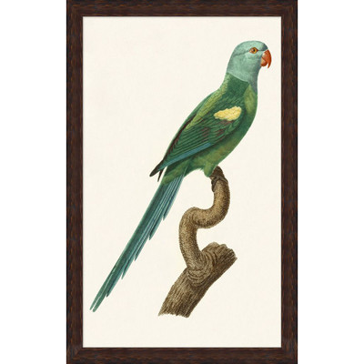 Wendover Perched Parrot 4