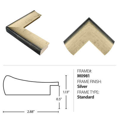 Wendover Transcending Ships 3