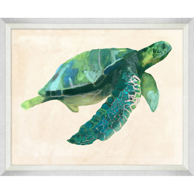 Wendover Painted Sea Turtle 2