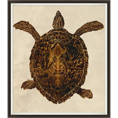 Wendover Large Sea Turtle 1