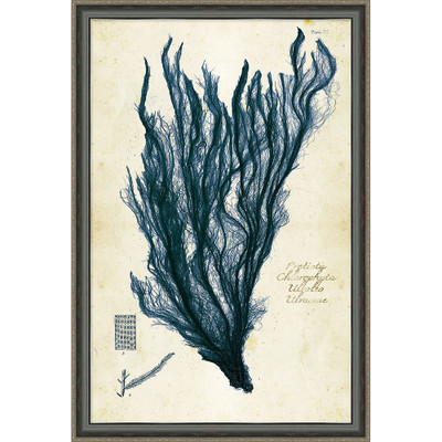 Wendover Indigo Sea Lettuce I